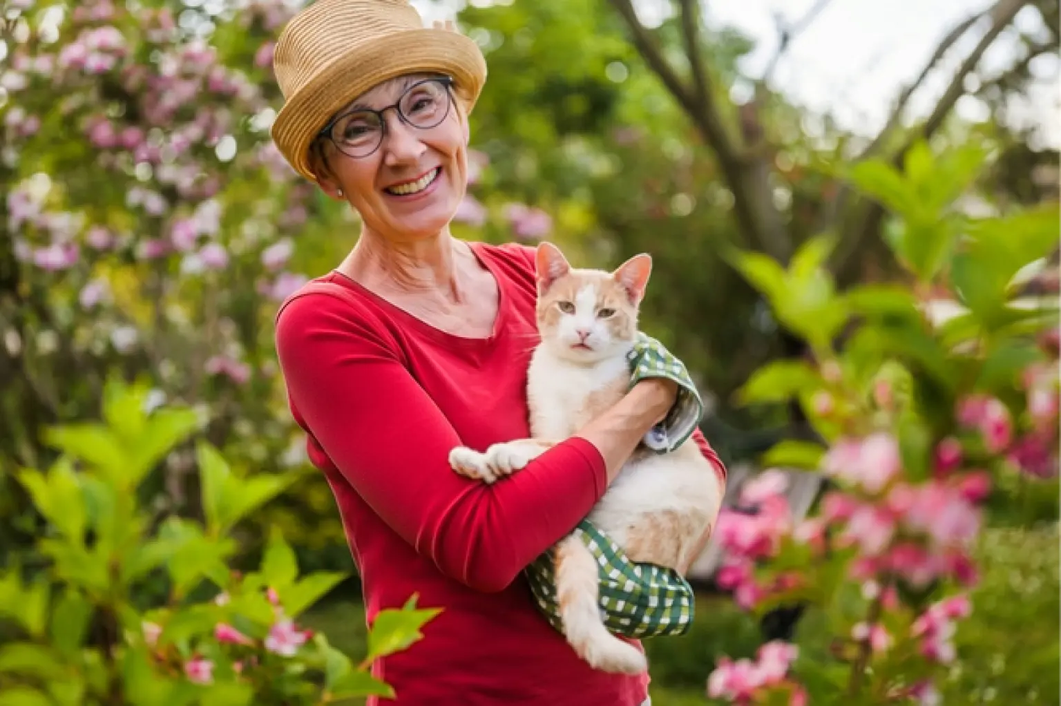 ww_over65s_article-500x3334.jpg