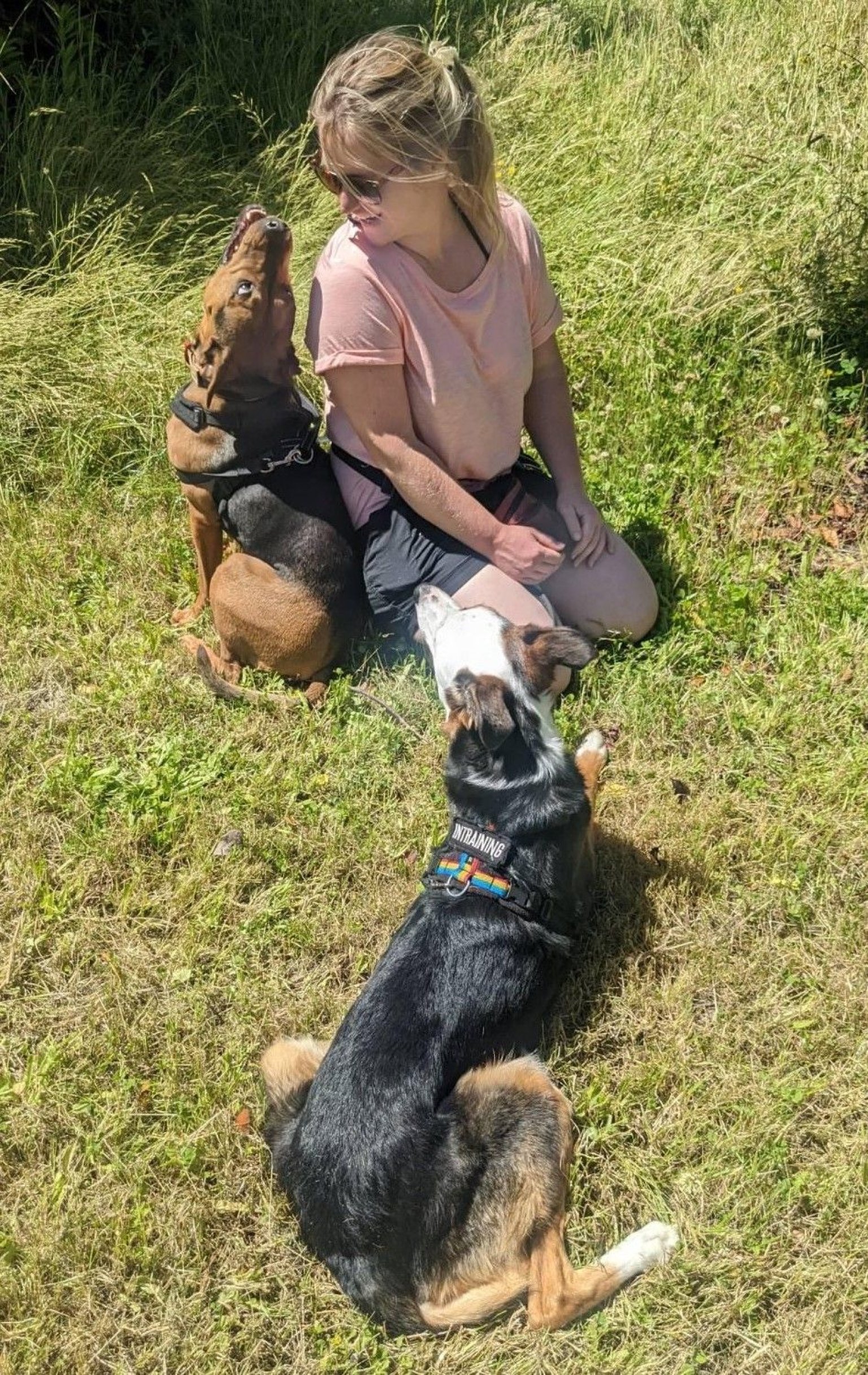 wills-week-2026_lisa-and-dogs-for-website.jpg