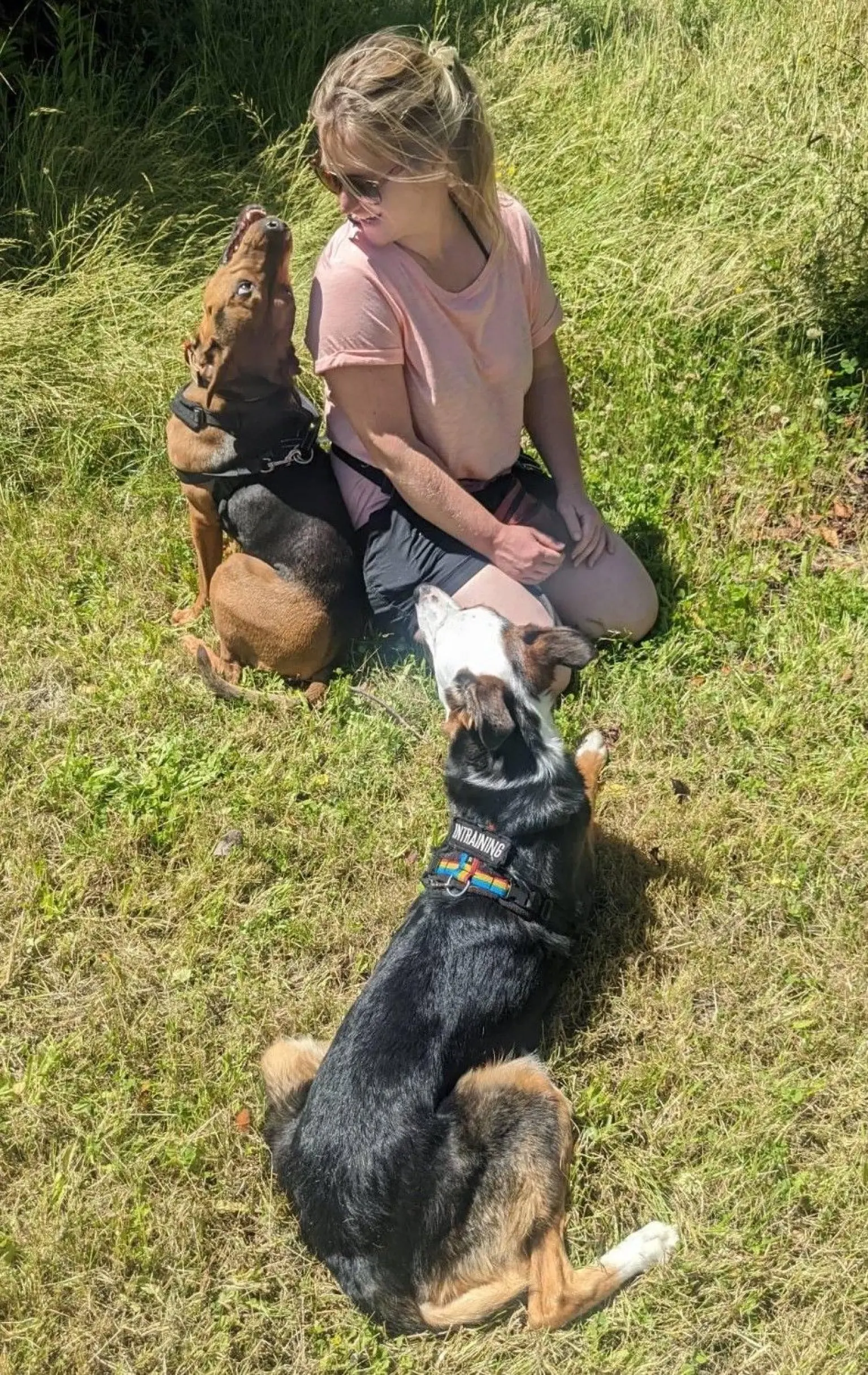 wills-week-2026_lisa-and-dogs-for-website.jpg
